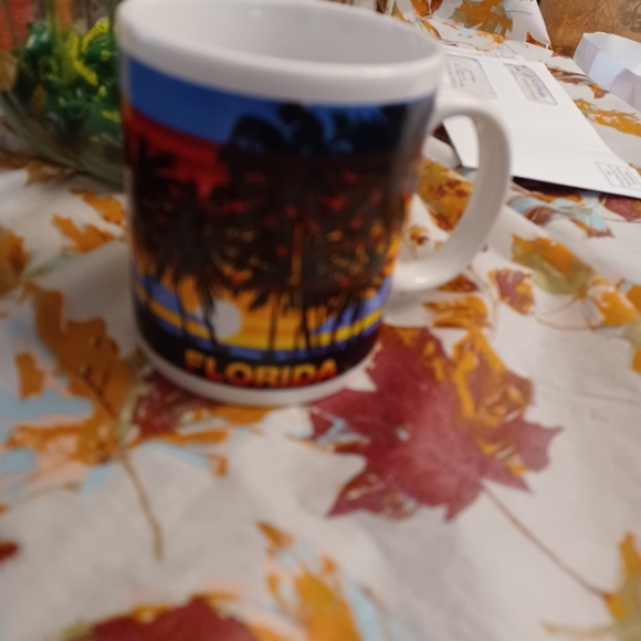 Vintage Florida Souvenir Coffee Mug with Sunset - Picture 5 of 8